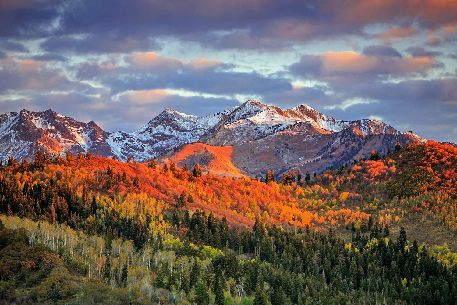 Picture of fall foliage in Utah for a scenic mountain retreat