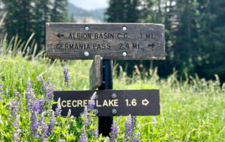 Easy hikes in Utah: sign towards Cecret Trail in Alta Snowbird