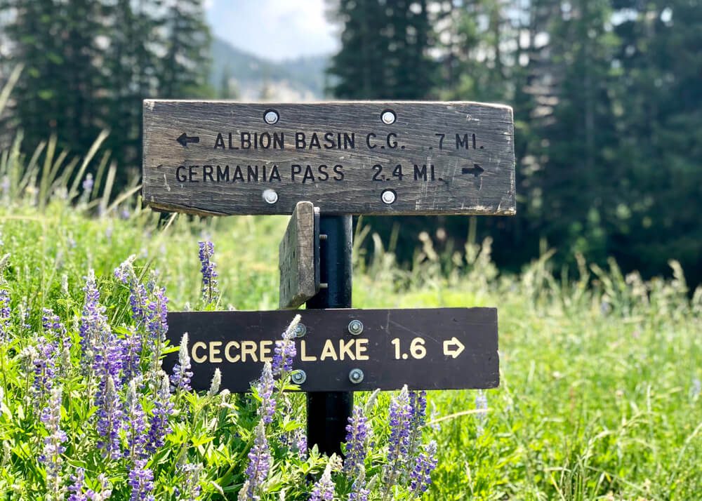 Easy hikes in Utah: sign towards Cecret Trail in Alta Snowbird