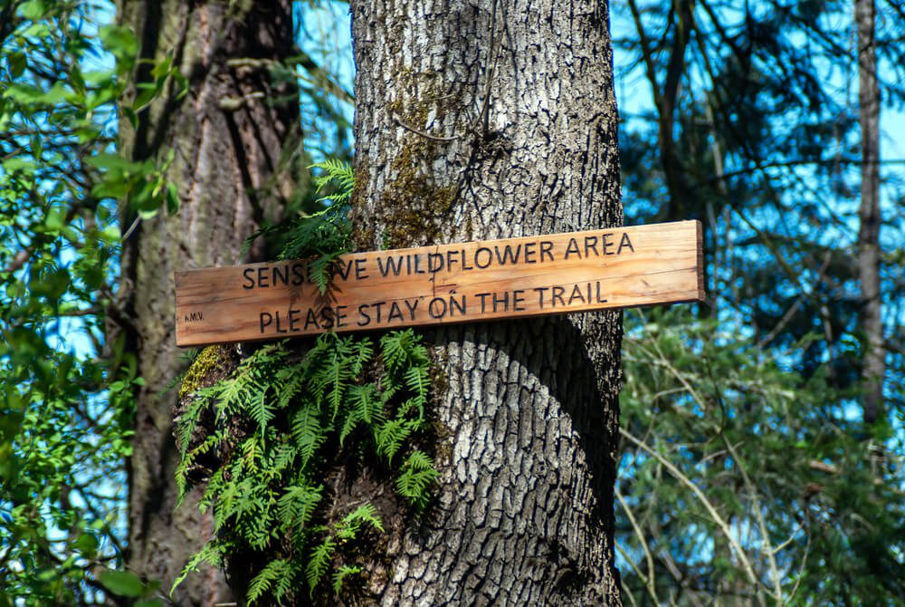 View of sign telling hikers to stay on the trail, a great way to recreate responsibly!