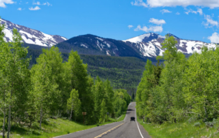 View of mountains and forest on a scenic drive in Utah