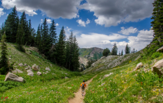 View of person hiking through mountain trail in Snowbird Utah